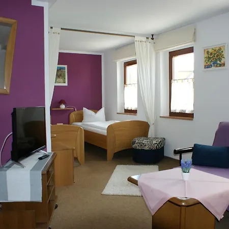 Goldener Anker Гостевой дом Reinhardtsdorf-Schona